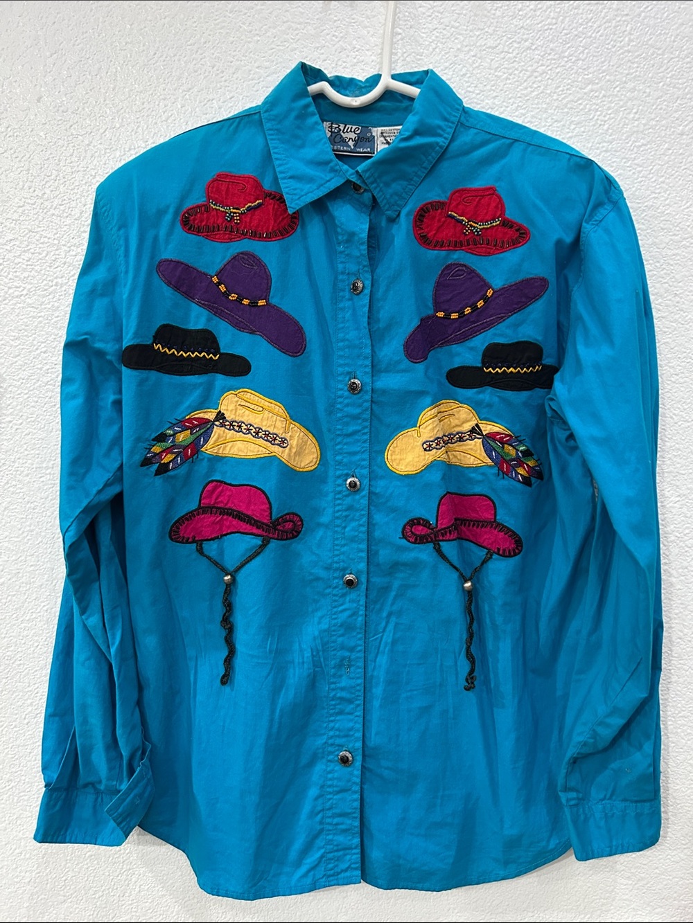 Blue Canyon Western Wear Embroidered Cowboy Hat Buttoned Down Shirt